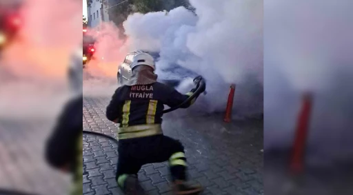 K&ouml;yceğiz&rsquo;de ara&ccedil; yangını