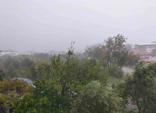 Köyceğiz’de fırtına ve sağanak yağış etkili oldu