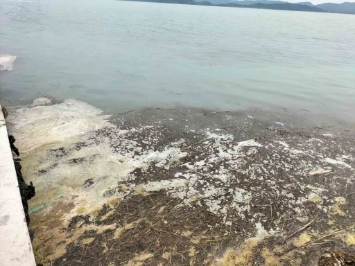 Köyceğiz Gölü'nde Müsilaj Alarmı