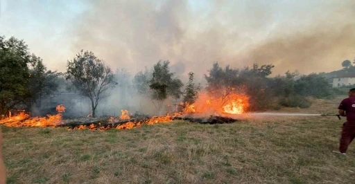 K&ouml;yceğiz il&ccedil;esindeki ot yangını s&ouml;nd&uuml;r&uuml;ld&uuml;
