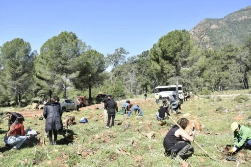 Köyceğiz'de Üniversitelilerden Anlamlı Doğa Etkinliği
