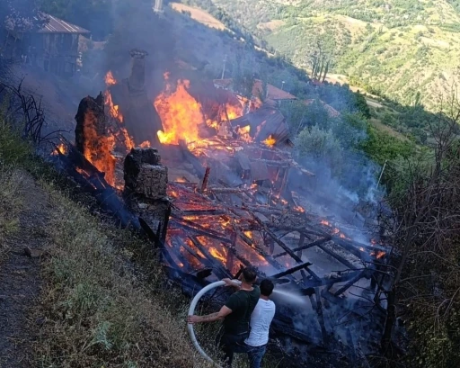 Köyde çıkan yangın 2 evi küle çevirdi
