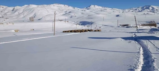 Koyunları i&ccedil;in dondurucu soğukta yaylada kaldılar

