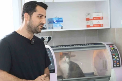 Kral &ouml;l&uuml;mden d&ouml;nd&uuml;, zorlu ameliyat başarıyla tamamlandı
