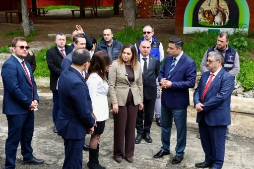 Krizi fırsata &ccedil;evirdiler
