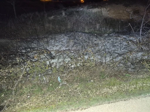 K&uuml;&ccedil;&uuml;k &ccedil;aplı ot yangını erken m&uuml;dahaleyle s&ouml;nd&uuml;r&uuml;ld&uuml;
