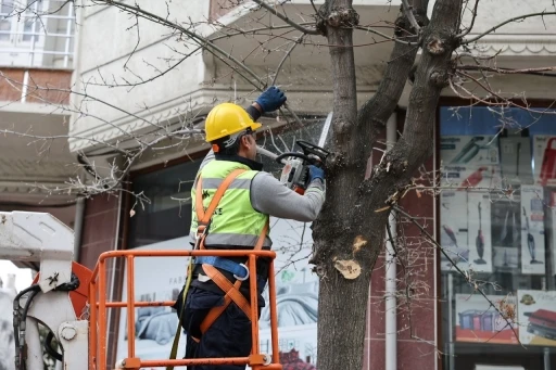 K&uuml;&ccedil;&uuml;k&ccedil;ekmece&rsquo;de budanan ağa&ccedil;lar, ihtiya&ccedil; sahiplerine yakacak oluyor

