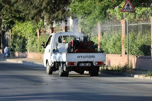 K&uuml;&ccedil;&uuml;k&ccedil;ekmece&rsquo;de sivrisineklere karşı m&uuml;cadele yoğunlaştı
