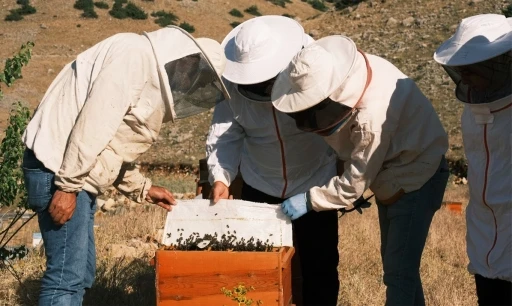 KUDAKA’dan Erzincan Geven Balı Projesine destek
