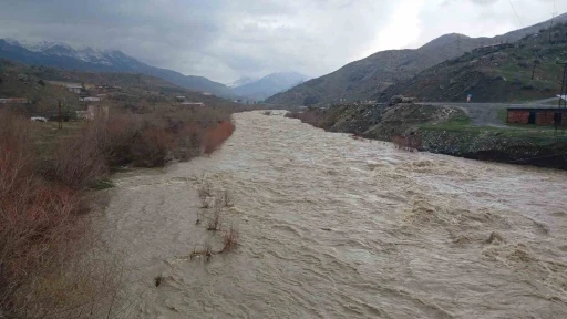 Kulp &Ccedil;ayı taştı: Yağış ve kar erimesiyle debi rekor seviyeye &ccedil;ıktı

