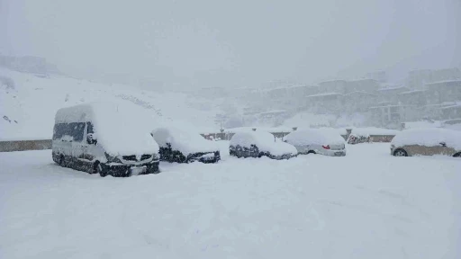 Kulp&rsquo;ta 10 yılın en yoğun kar yağışı: Ara&ccedil;lar kar altında kaldı
