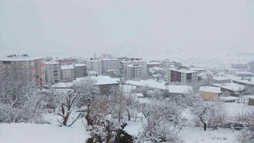 Kulp&rsquo;ta kar esareti: K&ouml;y yolları kapandı, il&ccedil;e trafiği kilitlendi
