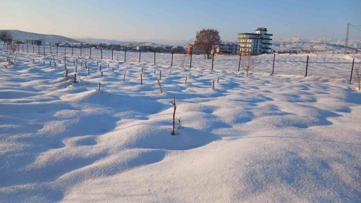 Kulp&rsquo;ta kar yağışı &ccedil;ift&ccedil;iye umut oldu
