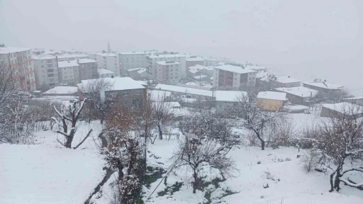 Kulp&rsquo;ta kar yağışı etkili oldu, il&ccedil;e beyaza b&uuml;r&uuml;nd&uuml;
