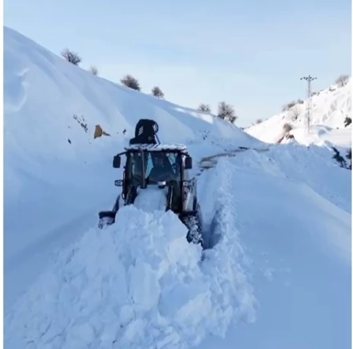 Kulp&rsquo;ta kar yağışı g&ouml;rsel ş&ouml;len oluşturdu
