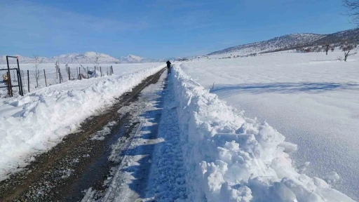 Kulp&rsquo;ta taşımalı eğitime kar tatili, il&ccedil;e merkezinde okullar a&ccedil;ık
