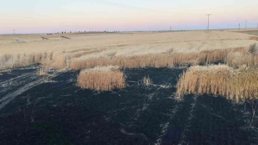 Kulu&rsquo;da arpa ekili tarlada yangın
