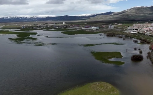 Kura Nehri taştı, tarım arazileri sular altında kaldı

