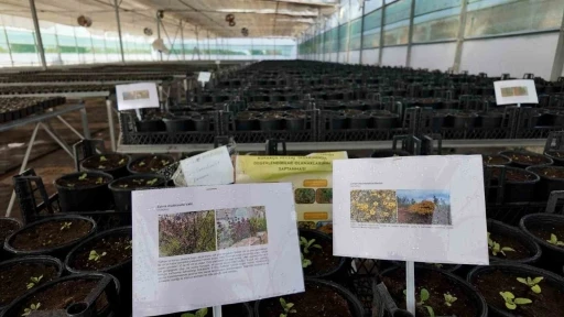 Kurakçıl Peyzaj Tasarımı Projesi’ne destek
