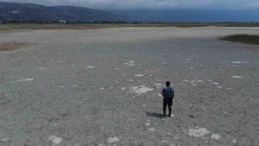 Kuraklığın etkisiyle çöle dönen Milleyha’da kuş gözlemcileri gelecekten ümitli
