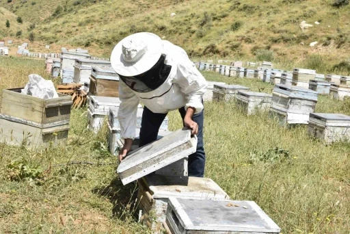 Kuraklık Bitlisli arıcıları kara kara düşündürüyor
