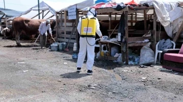 Kurban bayramı için hijyen alarmı: Hastalık riskine karşı harekete geçtiler
