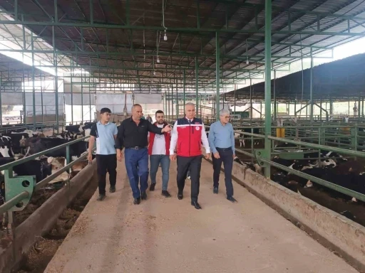 Kurban Bayramı &ouml;ncesi hayvan satış yerlerinde sıkı denetim
