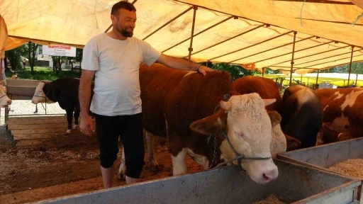 Kurban satıcıları, yurtdışı bağışlardan ve marketlerden şikayetçi
