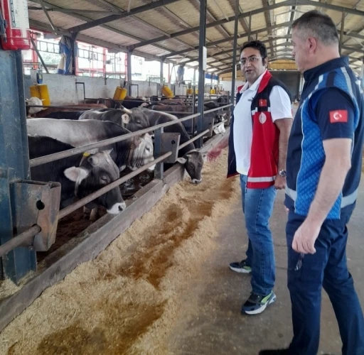 Kurbanların satış ve kesim yerleri mercek altında
