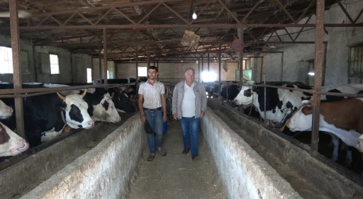 Kurbanlık alırken küpe ve ağırlık uyarısı
