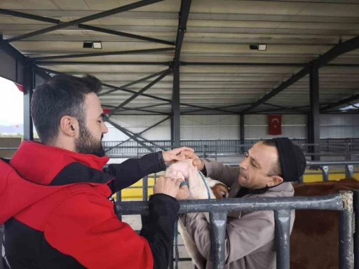 Kurbanlık denetimleri s&uuml;r&uuml;yor
