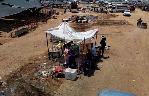 Kurbanlık fiyatları yüzde 40 düştü
