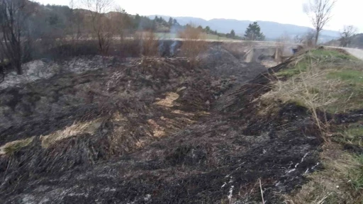 Kuru otlar alev aldı, rüzgarın etkisiyle yangın büyüdü

