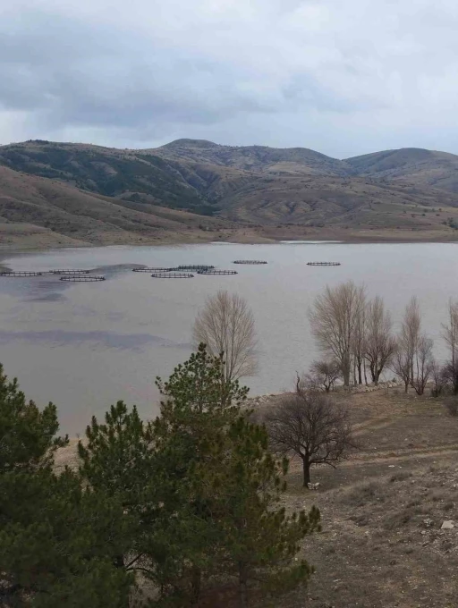 Kurumaya y&uuml;z tutan barajda doluluk oranı y&uuml;zde 50 seviyelerine yaklaştı
