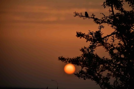 Kuş Cenneti’nde sonbahar
