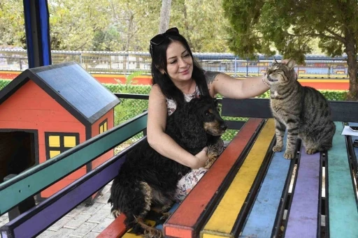 Kuşadası Belediyesi 3 bin 518 sokak hayvanını &ouml;m&uuml;rl&uuml;k yuvasına kavuşturdu
