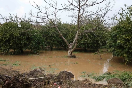 Kuşadası&rsquo;nda bah&ccedil;eler g&ouml;le d&ouml;nd&uuml;, ağa&ccedil;lar sular altında kaldı
