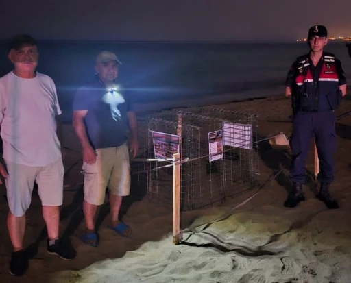 Kuşadası&rsquo;nda caretta caretta heyecanı: İlk yuva koruma altına alındı

