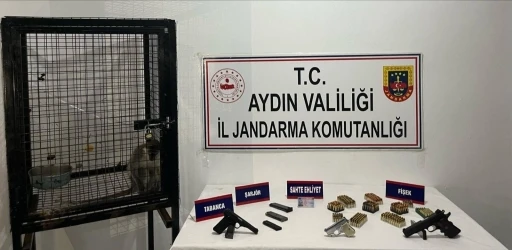 Kuşadası&rsquo;nda ruhsatsız silah ve maymun ele ge&ccedil;irildi
