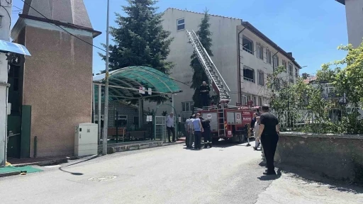 K&uuml;tahya&rsquo;da ağaca takılan ser&ccedil;e itfaiye ekiplerince kurtarıldı
