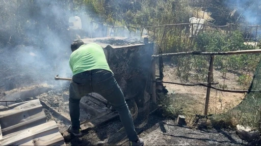 K&uuml;tahya&rsquo;da alevler 11 pa&ccedil;alı g&uuml;vercini telef etti
