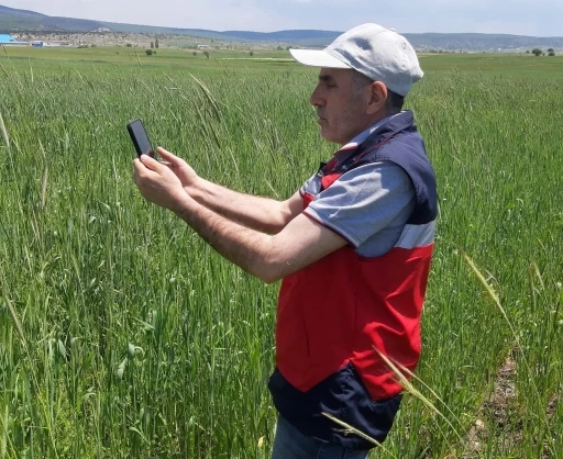 K&uuml;tahya&rsquo;da arazi ve &uuml;r&uuml;n kontrolleri yapıldı
