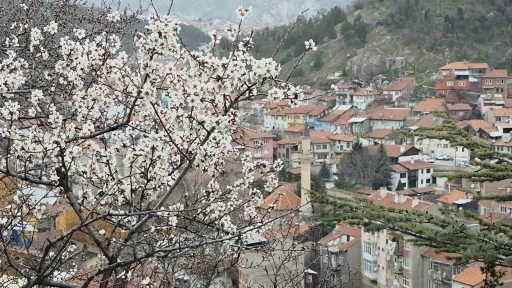 K&uuml;tahya&rsquo;da badem ağa&ccedil;ları &ccedil;i&ccedil;ek a&ccedil;tı

