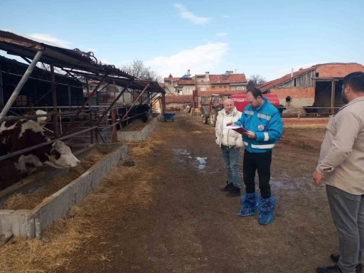 K&uuml;tahya&rsquo;da hayvancılık işletmelerine y&ouml;nelik kapasite tespiti s&uuml;r&uuml;yor
