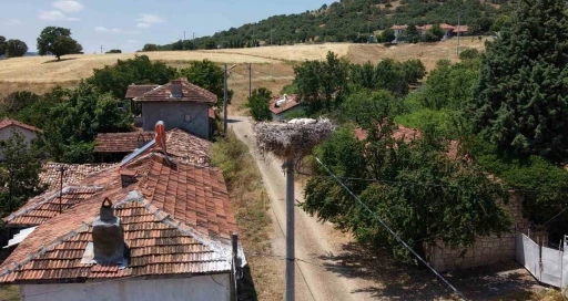 K&uuml;tahya&rsquo;da leylekler bu k&ouml;y&uuml;n maskotu oldu
