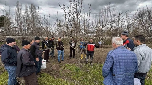 K&uuml;tahya&rsquo;da meyve &uuml;reticilerine budama ve aşılama eğitimi
