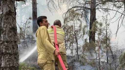 K&uuml;tahya&rsquo;da ormanlık alanda &ccedil;ıkan yangın helikopter desteği ile s&ouml;nd&uuml;r&uuml;ld&uuml;
