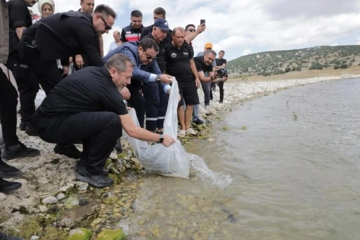 K&uuml;tahya&rsquo;da Porsuk Barajı G&ouml;leti&rsquo;ne 107 bin 500 balık yavrusu bırakıldı
