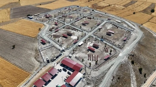 Kütahya’da sahipsiz sokak hayvanlarına doğal yaşam alanı
