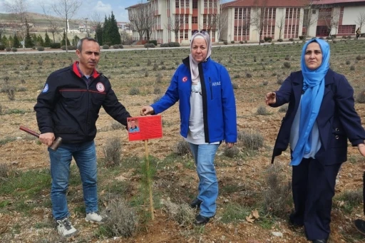 K&uuml;tahya&rsquo;da şehit itfaiye eri anısına fidan dikildi
